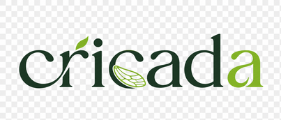 Cricada